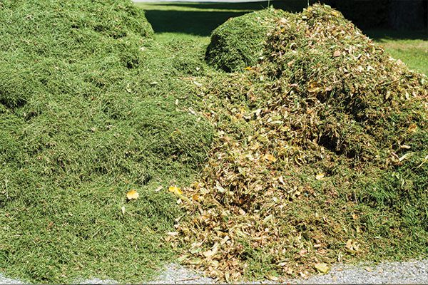 Green Waste Removal Services - Bendigo